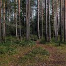 До конца года в Коми заработает нацпарк «Койгородский» До конца года в Коми заработает нацпарк «Койгородский»